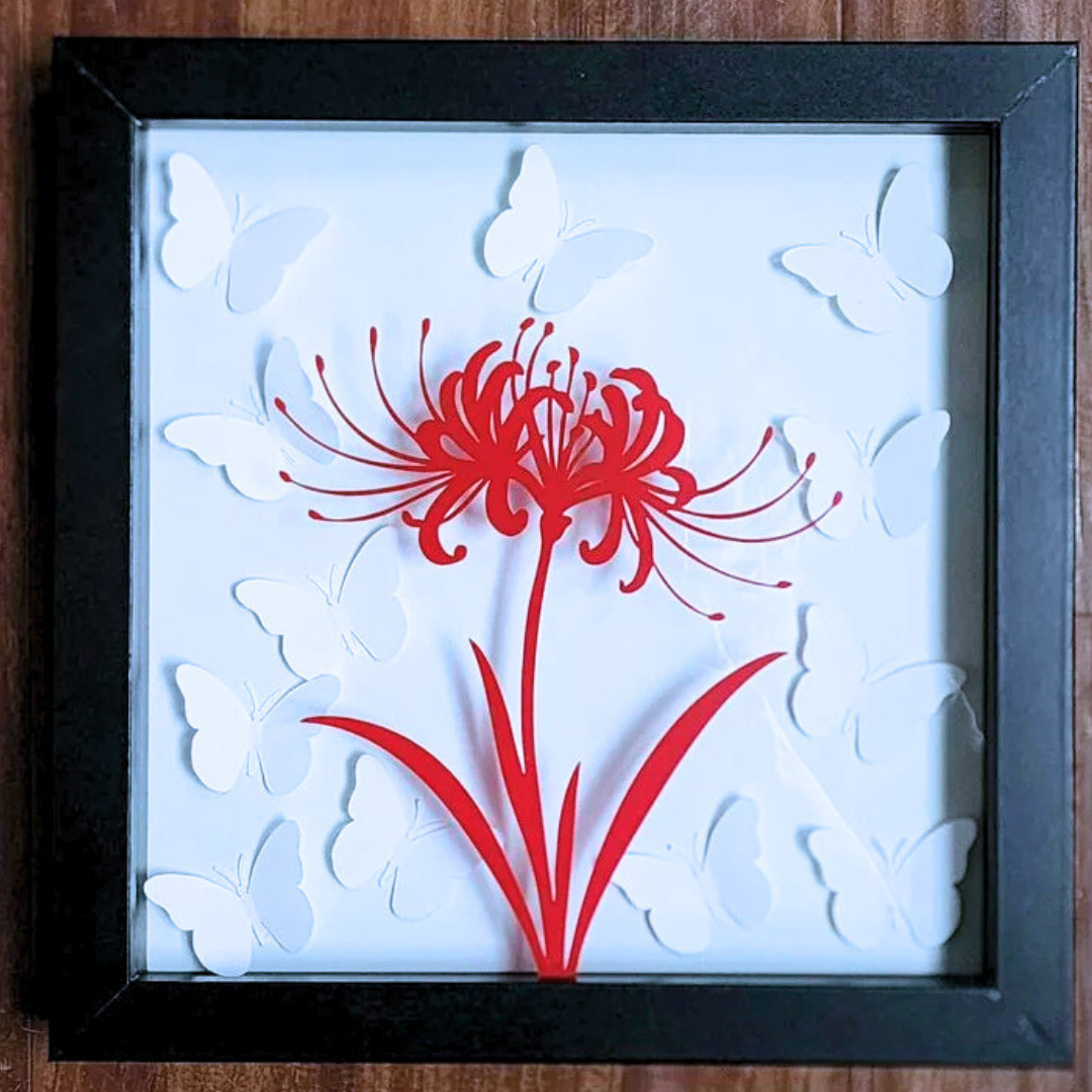 Shadowbox – Wingingit Studio