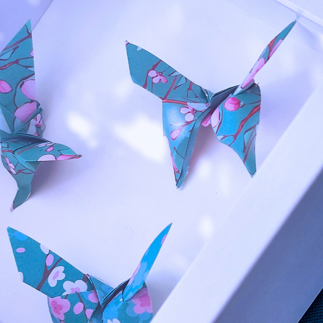 Garden of Folded Wings Shadowbox