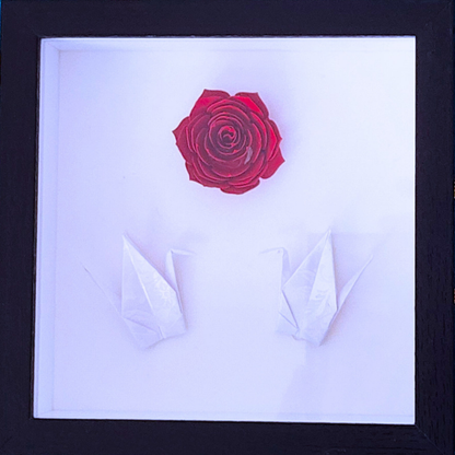 Not "Just" Shadowbox