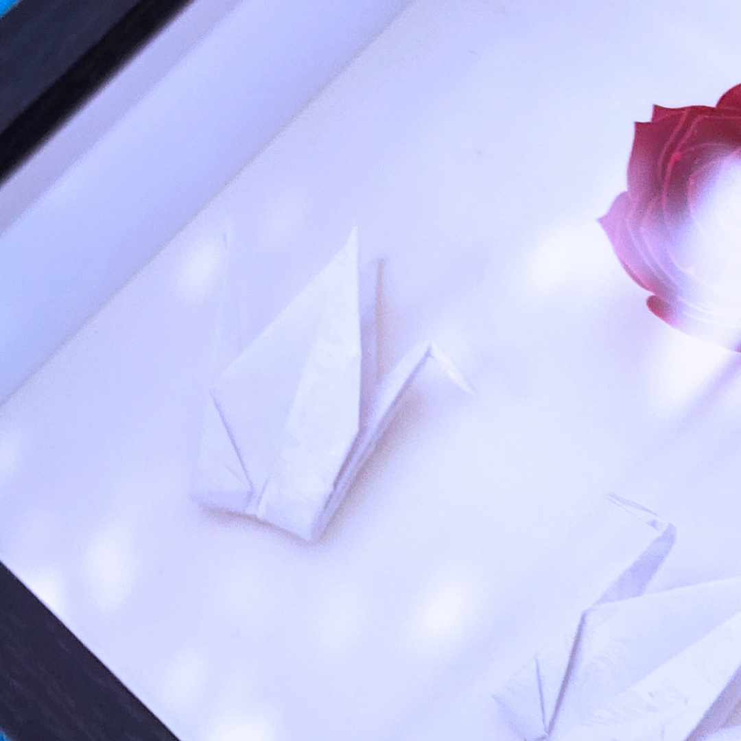 Not "Just" Shadowbox