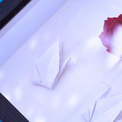 Not "Just" Shadowbox