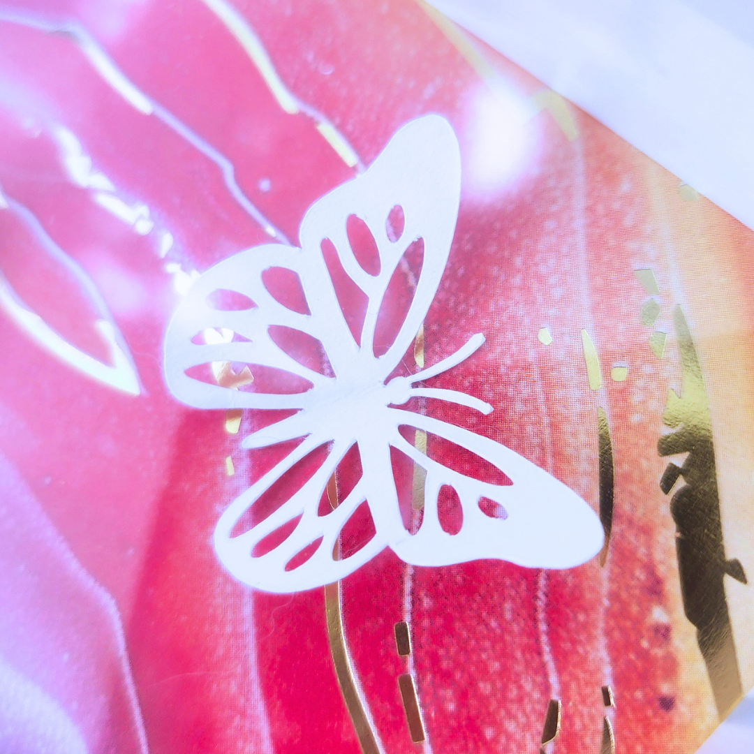 Where Butterflies Dream Shadowbox