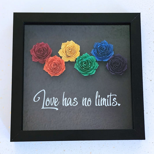 Framed shadow box artwork with rainbow-colored paper roses and 'Love has no limits' white vinyl text on a black background.