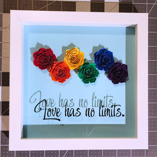 Framed shadow box artwork with rainbow-colored paper roses and 'Love has no limits' black vinyl text on a blue background.